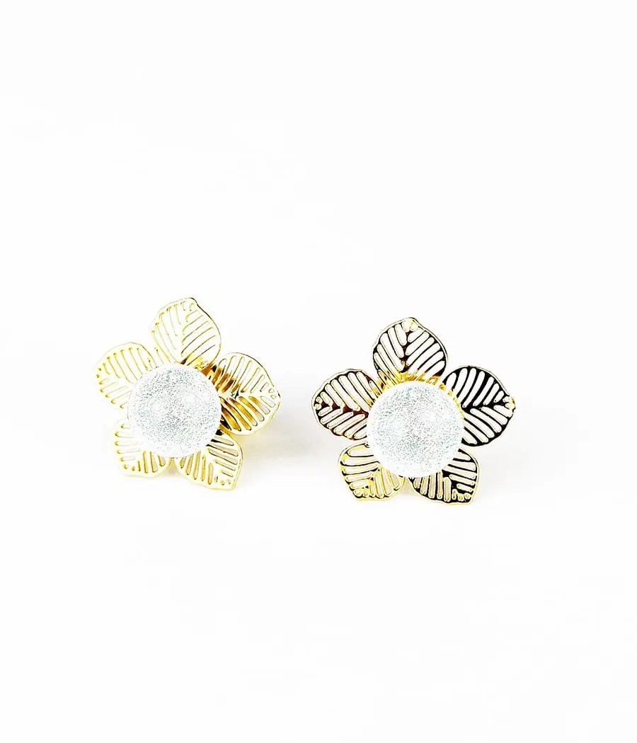 Boucles Puces d'oreilles...